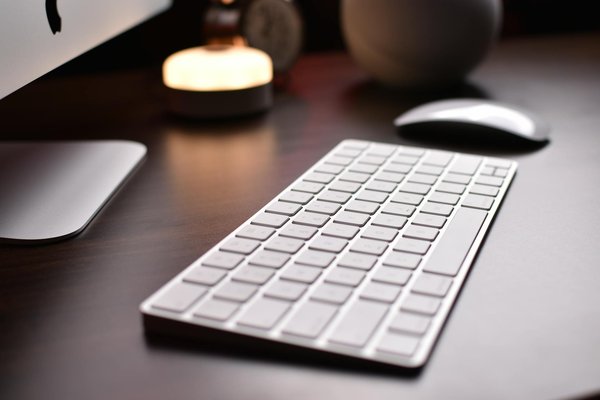 Quels sont les défis du marketing digital pour les entreprises de produits de bien-être pour animaux de compagnie?